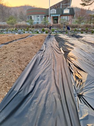 이상준님의 고추 · 영농일지 작성글 사진