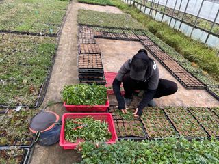 김재경님의 기타작물 · 영농일지 작성글 사진