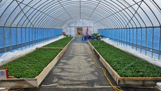 향적농원(정은상)님의 4월 내 작물 자랑하기 · 참여글 작성글 사진