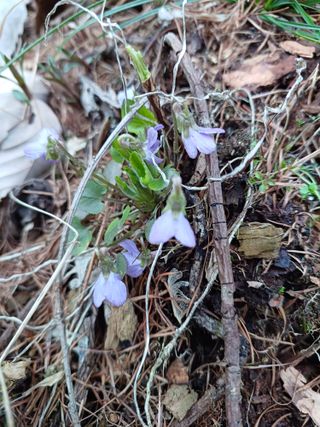 김선자님의 자유주제 · 자유게시판 작성글 사진