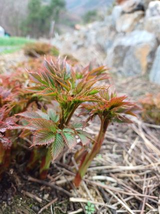 김선자님의 자유주제 · 자유게시판 작성글 사진