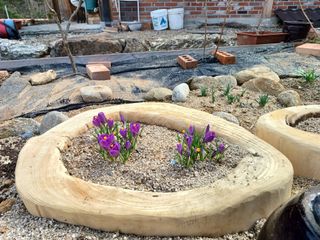 김선자님의 자유주제 · 자유게시판 작성글 사진