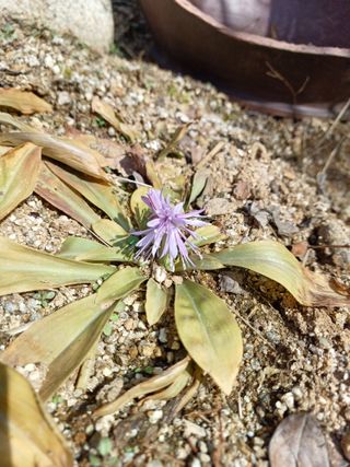 김선자님의 자유주제 · 자유게시판 작성글 사진