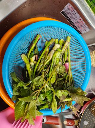 난목말라님의 자유주제 · 자유게시판 작성글 사진