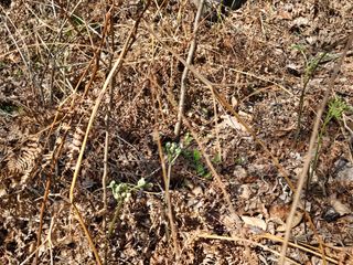 난목말라님의 자유주제 · 자유게시판 작성글 사진
