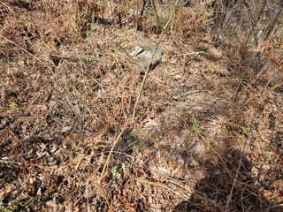 난목말라님의 자유주제 · 자유게시판 작성글 사진