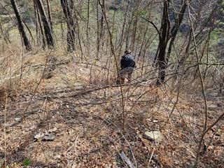 난목말라님의 자유주제 · 자유게시판 작성글 사진