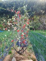 팜모닝 자유주제·자유게시판 게시글 이미지