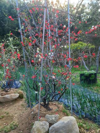 김재열님의 자유주제 · 자유게시판 작성글 사진