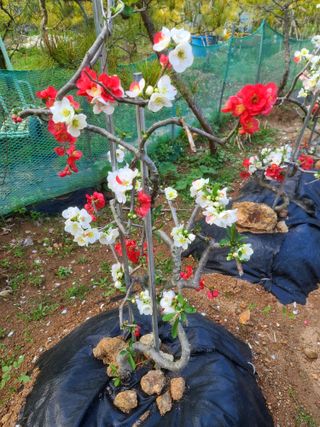 김재열님의 자유주제 · 자유게시판 작성글 사진