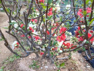 김재열님의 자유주제 · 자유게시판 작성글 사진