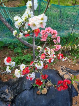 김재열님의 자유주제 · 자유게시판 작성글 사진