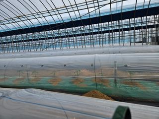 선미님의 자유주제 · 자유게시판 작성글 사진