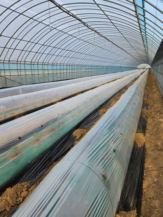 선미님의 자유주제 · 자유게시판 작성글 사진