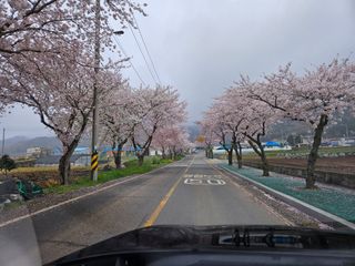 선미님의 자유주제 · 자유게시판 작성글 사진