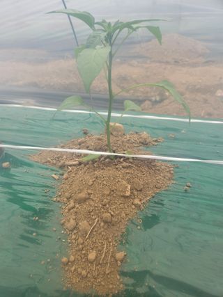 선미님의 자유주제 · 자유게시판 작성글 사진