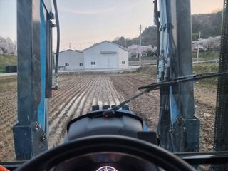 정영기대산축산농부♡님의 벼 · 영농일지 작성글 사진