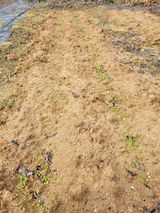 팜모닝 자유주제·자유게시판 게시글 이미지