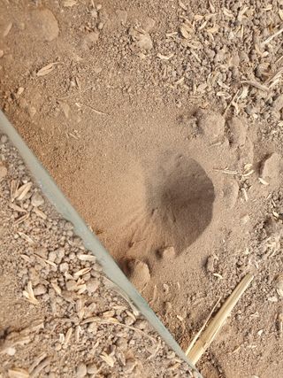 김옥자님의 자유주제 · 자유게시판 작성글 사진