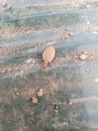 김옥자님의 자유주제 · 자유게시판 작성글 사진