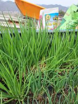 팜모닝 자유주제·자유게시판 게시글 이미지