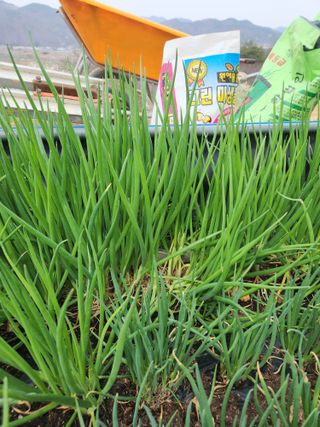 신윤숙님의 자유주제 · 자유게시판 작성글 사진