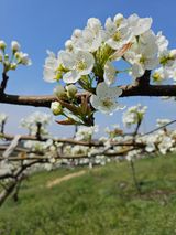 팜모닝 자유주제·자유게시판 게시글 이미지