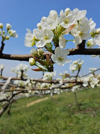 손미숙님의 자유주제 · 자유게시판 작성글 사진