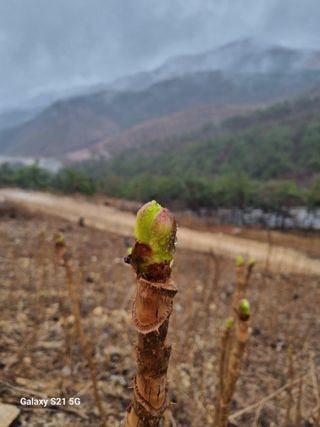 팜모닝회원 정정섭 님의 자유주제 · 자유게시판 작성글 사진