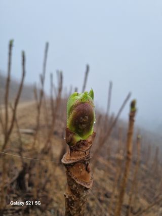 팜모닝회원 정정섭 님의 자유주제 · 자유게시판 작성글 사진