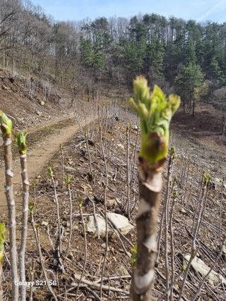 팜모닝회원 정정섭 님의 자유주제 · 자유게시판 작성글 사진