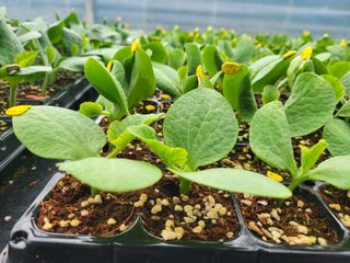 김판균님의 기타작물 · 자유게시판 작성글 사진