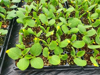 김판균님의 기타작물 · 자유게시판 작성글 사진