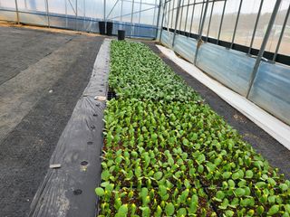 김판균님의 기타작물 · 자유게시판 작성글 사진