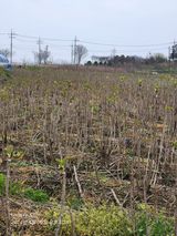 팜모닝 자유주제·사진전 게시글 이미지