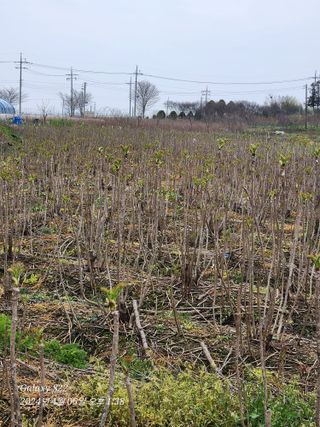 부안아낙네님의 자유주제 · 사진전 작성글 사진