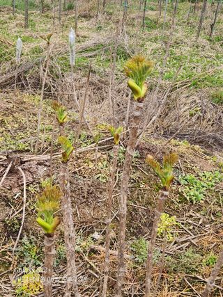부안아낙네님의 자유주제 · 사진전 작성글 사진