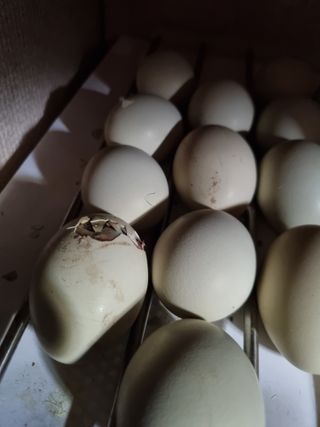 풍요님의 자유주제 · 자유게시판 작성글 사진