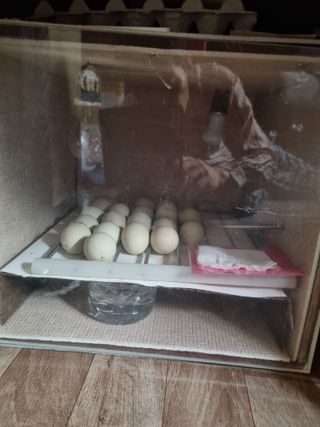 풍요님의 자유주제 · 자유게시판 작성글 사진