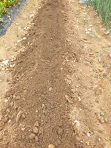 팜모닝 4월 내 작물 자랑하기·참여글 게시글 이미지