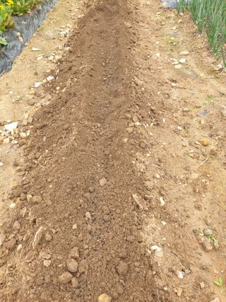 알 수 없음님의 4월 내 작물 자랑하기 · 참여글 작성글 사진