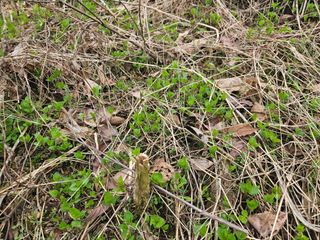 만능이되고픈농부님의 자유주제 · 자유게시판 작성글 사진