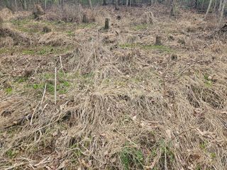 만능이되고픈농부님의 자유주제 · 자유게시판 작성글 사진