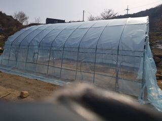 당근한개님의 자유주제 · 자유게시판 작성글 사진