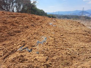 한병인님의 4월 내 작물 자랑하기 · 참여글 작성글 사진