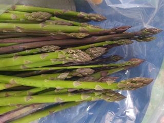 김현정님의 작성글 사진