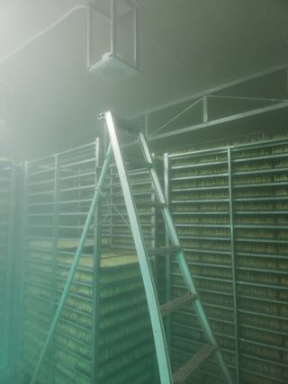 노란토끼님의 벼 · 영농일지 작성글 사진