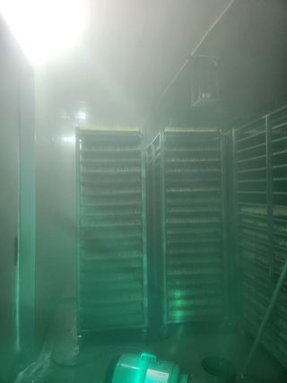 노란토끼님의 벼 · 영농일지 작성글 사진