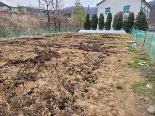 땅땅님의 고추 · 토양준비 작성글 사진