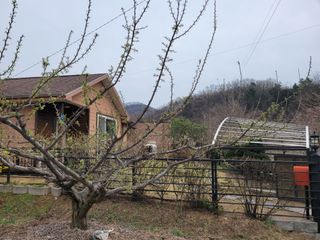 땅땅님의 고추 · 토양준비 작성글 사진
